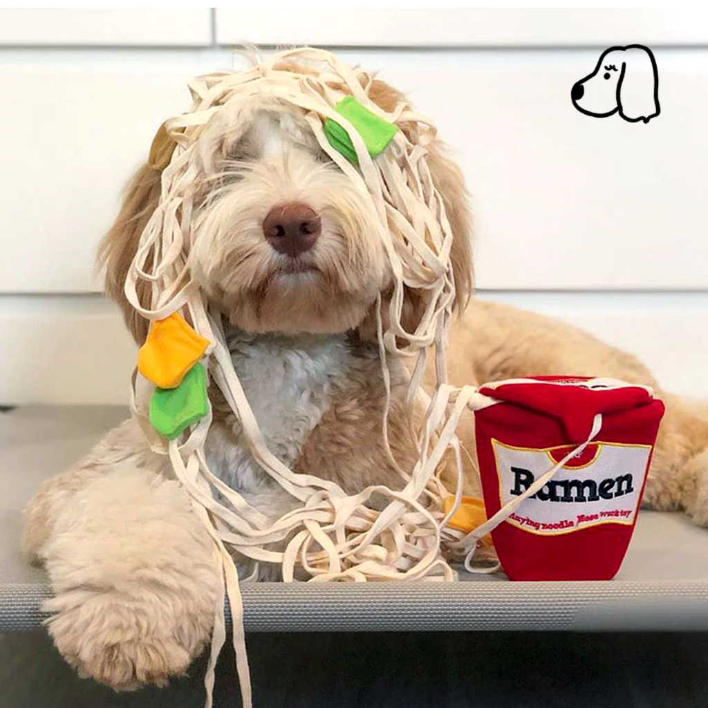 Ramen Noodles Dog Toy  Shop Plush Dog Toys – TeaCups, Puppies